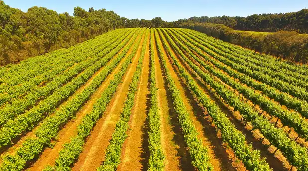 Imagen de Coonawarra